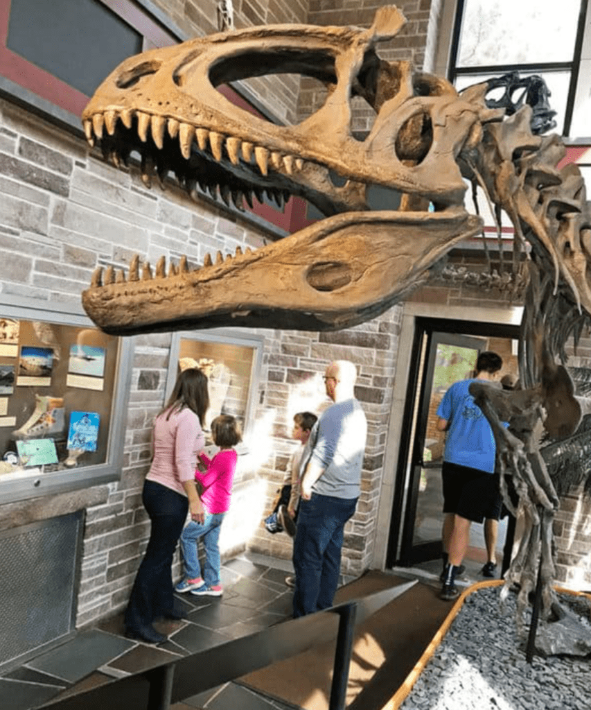 The Cryolophosaurus fossil at Fryxell Geology Museum