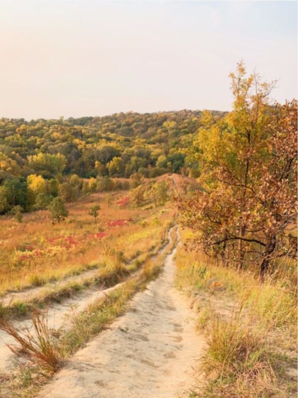 Looking down a hill at Hitchcock Nature Center