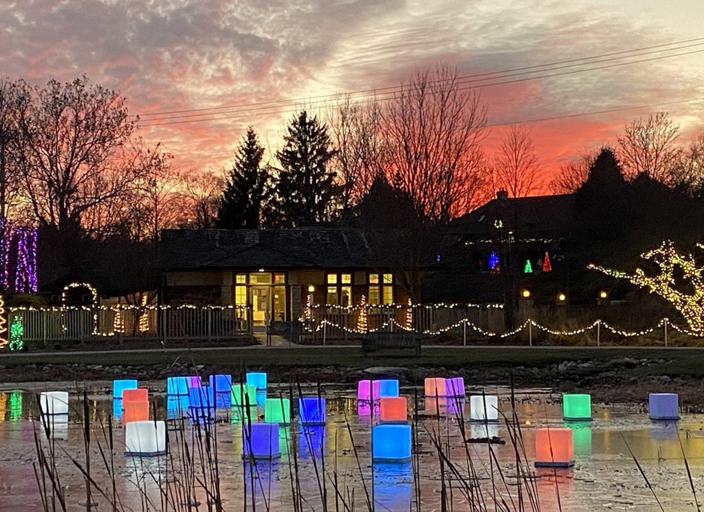 Lights at Reiman Gardens during the Winter Wonderscape Light Show
