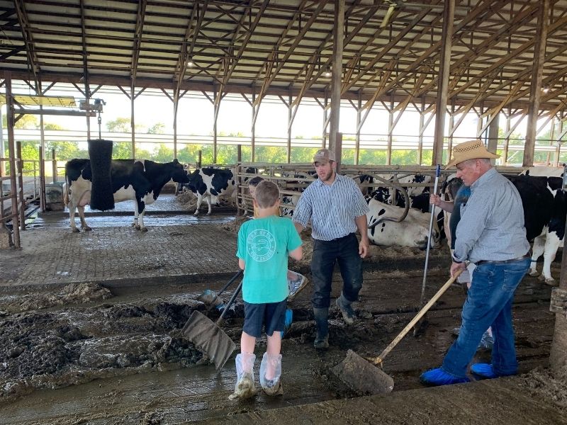 My son and dad scraping manure with Farmer Dan 