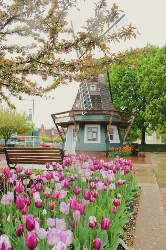 Windmill in Pella