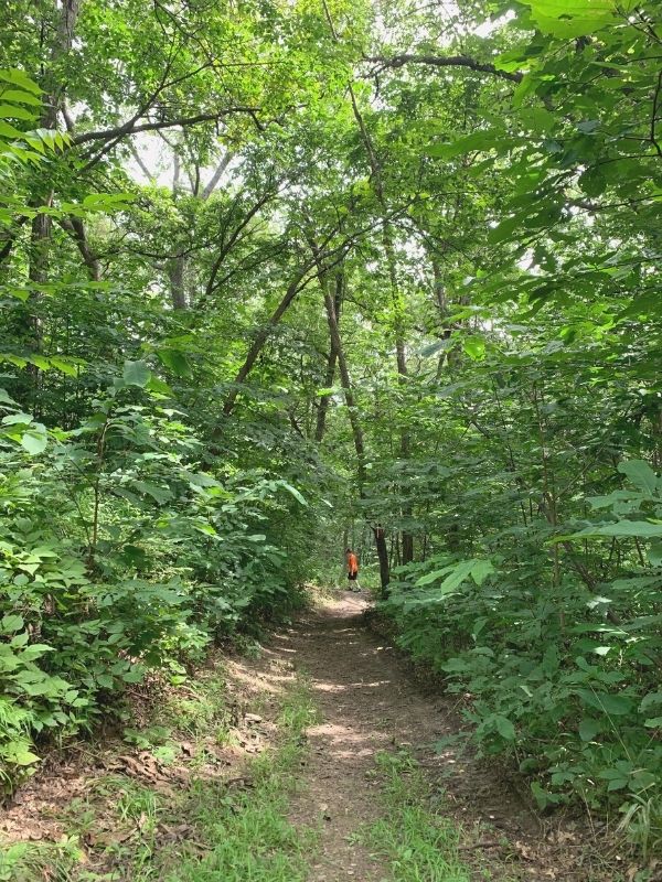 A shaded trail at Waubonsie State Park in southwest Iowa