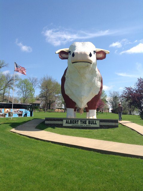 Albert The Bull in Audubon