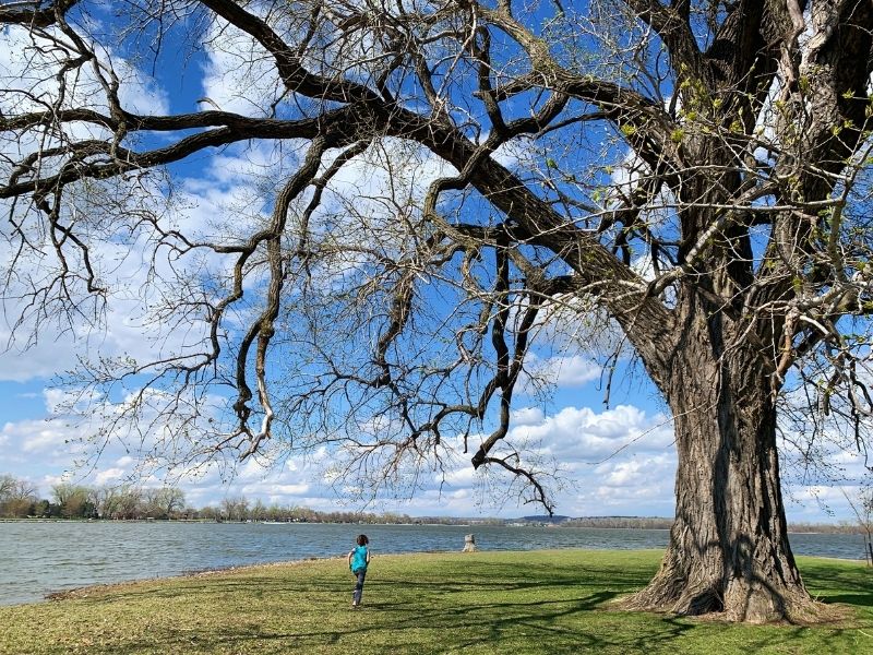 Girl running toward Lake Manawa in southwest Iowa