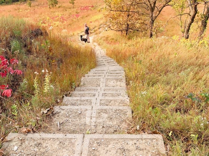 Stairs at Hitchcock Nature Center in the autumn