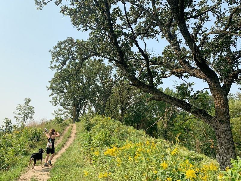 A trail at Hitchcock Nature Center in the summer