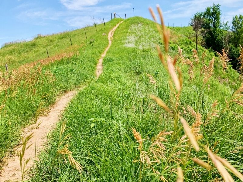 The dirt path to Murray Hill Scenic Overlook