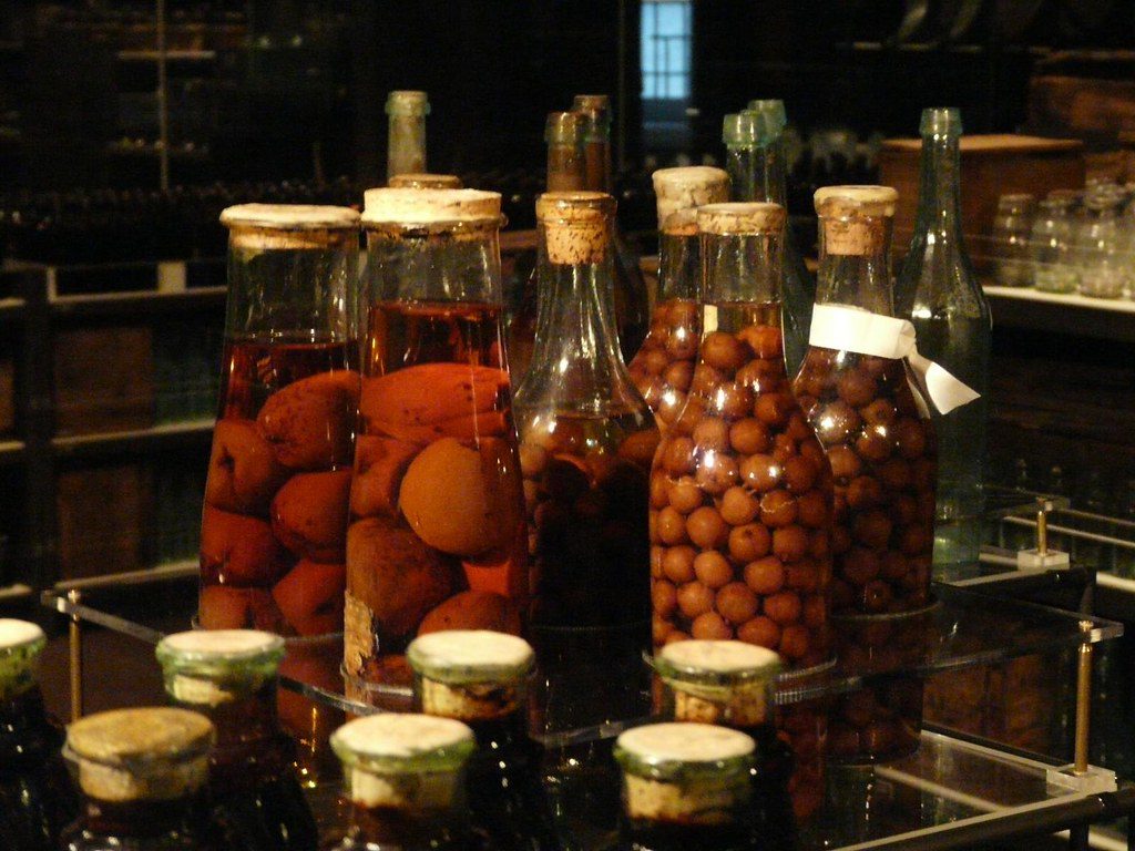 Preserved items from the Steamboat Bertrand