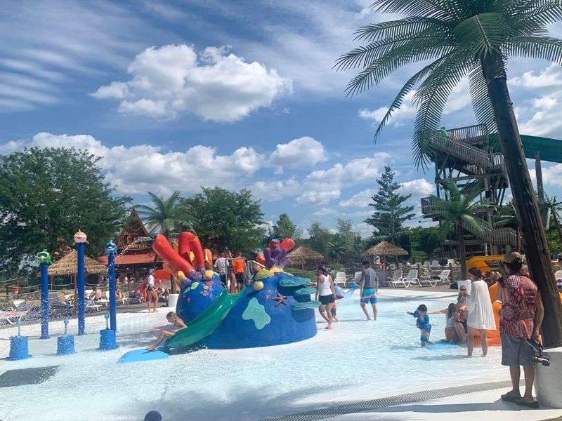 Starfish Cove at Lost Island Waterpark in Iowa