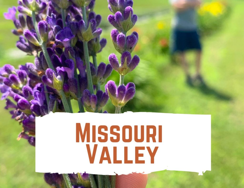 Missouri Valley button 