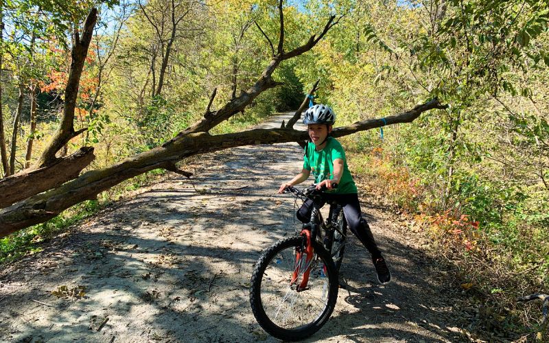 A kid by a fallen tree on the Wabash Trace Trail