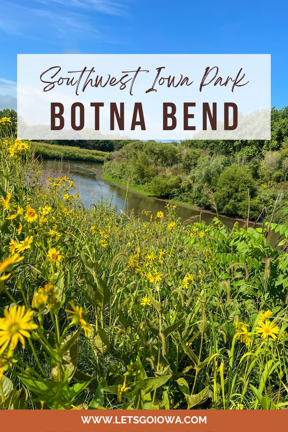 Yes, There’s White Bison At Botna Bend Park - Let's Go Iowa
