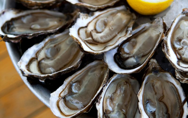 Oysters on the half shell