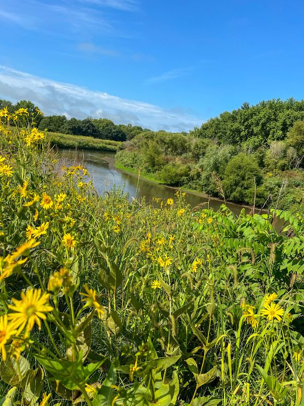 A view of the West Nishnabotna River from the shoreline at Botna Bend Park