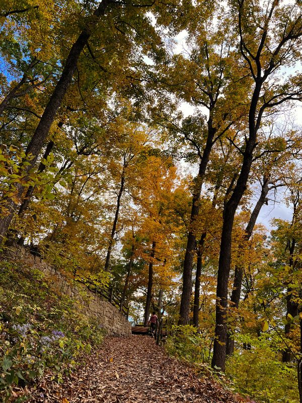 A trail in the northern unit of Effigy Mounds National Monument