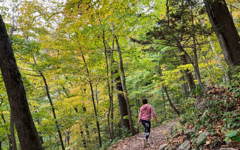 Hiking at Mount Hosmer City Park