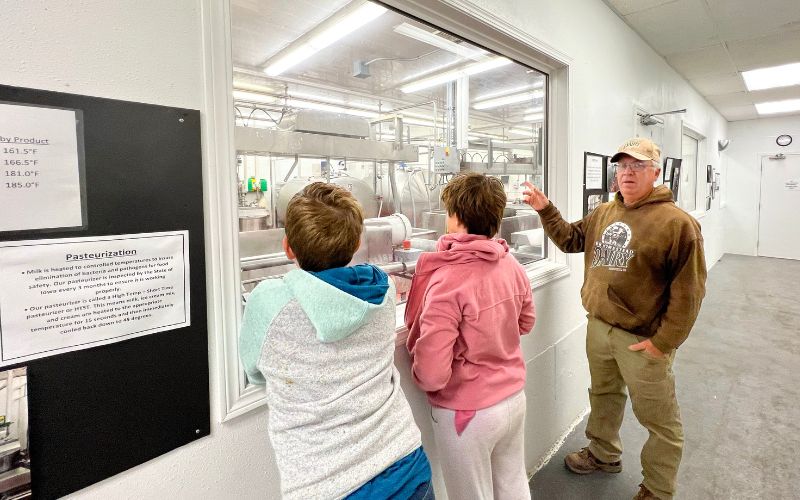 Behind-the-scenes tour of WW Homestead Dairy in Waukon