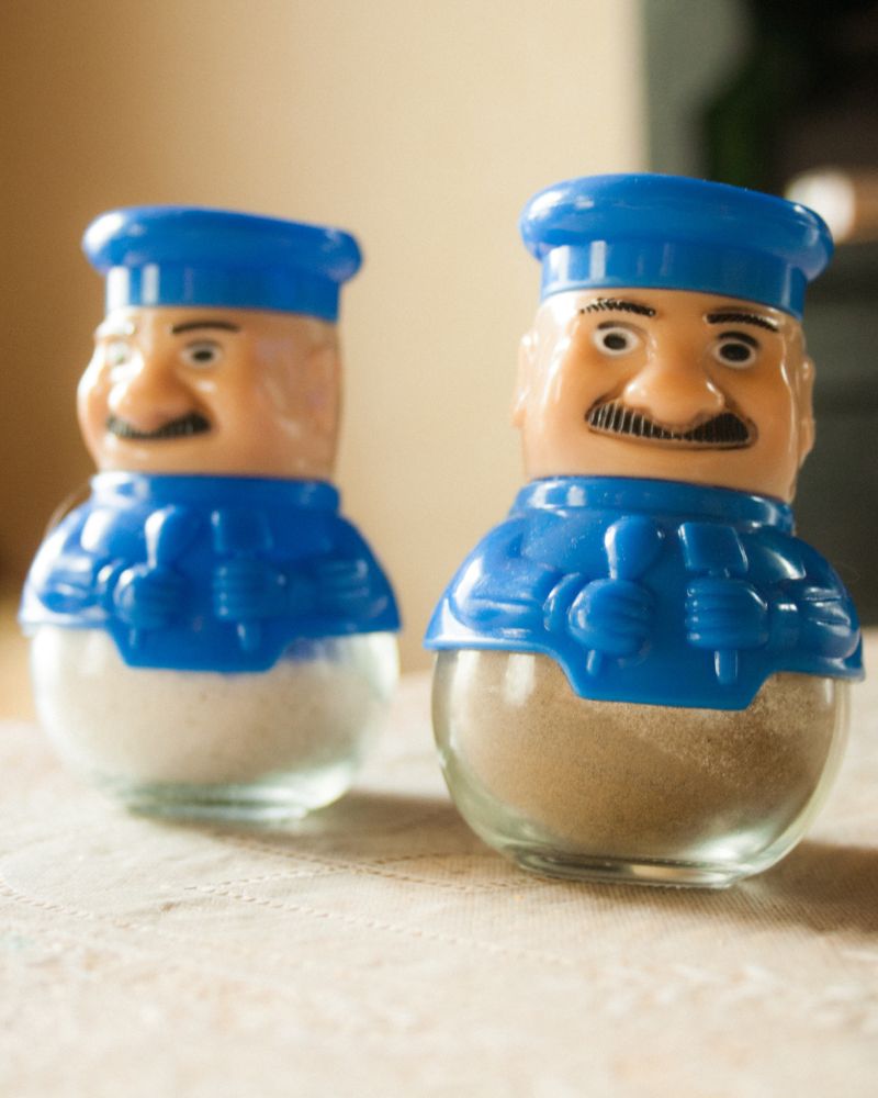 Novelty salt and pepper shakers