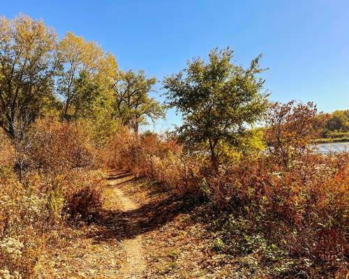 A dirt trail running parallel to water at Lake Manawa State Park