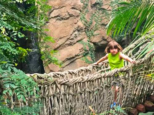 A girl on the rope bridge at Blank Park Zoo in Des Moines, Iowa