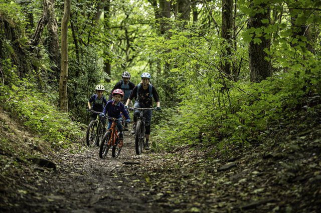 Two adults and two kids ride mountain bikes on a path in the woods of Cone Park